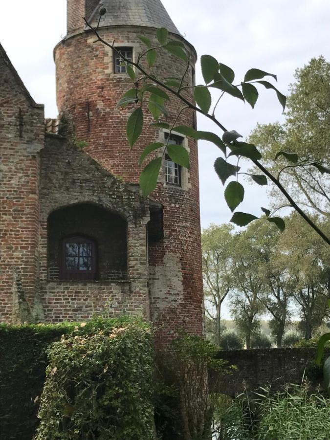 De Levensboom - Het Oud Gemeentehuis Damme Luaran gambar
